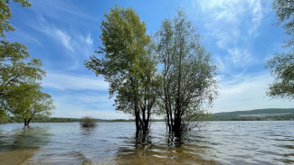 В Самаре вода в Волге поднялась на 3 метра выше уровня 2025 года