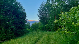 Из-за лютого пекла в Самарской области ввели оранжевый уровень опасности до 26 июля