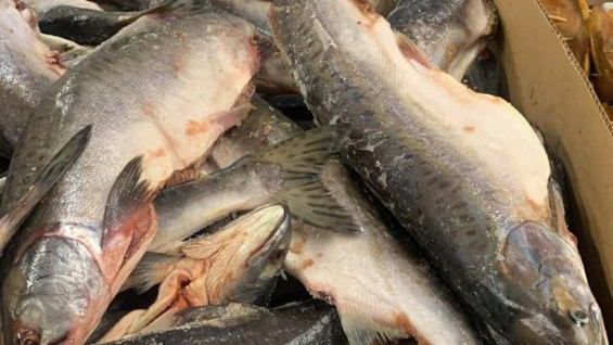 В Самарской области в 2025 году больше всего подорожали замороженная рыба и курица