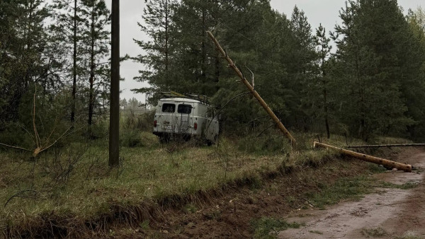 Появились кадры с места гибели мужчины в Борском районе 27 апреля