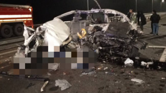 Стало известно, сколько пассажиров минивэна погибли в ДТП в Самарской области