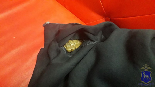 Житель Самарской области пришел в кафе с боевой гранатой Ф-1 в кармане кофты