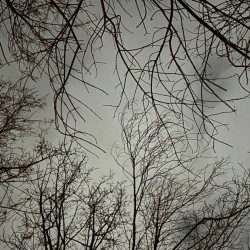 Хроника массовой атаки БПЛА на Самарскую область 28 декабря