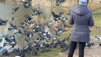 Четверток Великого канона: что ни в коем случае нельзя делать 18 апреля