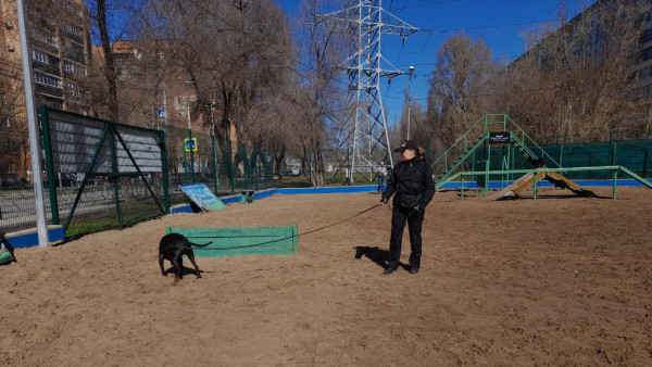 В УФСИН Самарской области на пенсию проводили служебных собак