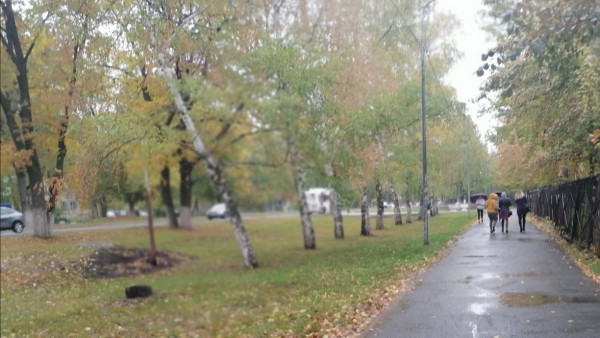 -1: в Самарской области похолодает и пойдет дождь