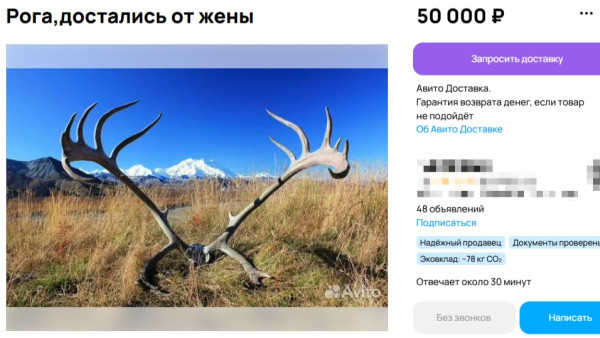 В Самаре продают доставшиеся от жены рога за 50 тысяч рублей