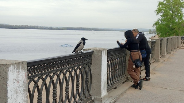 В Самаре закупили громкоговорители на набережную за 188 тысяч рублей