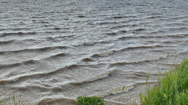 В озере Белом в Самаре утонул 40-летний мужчина