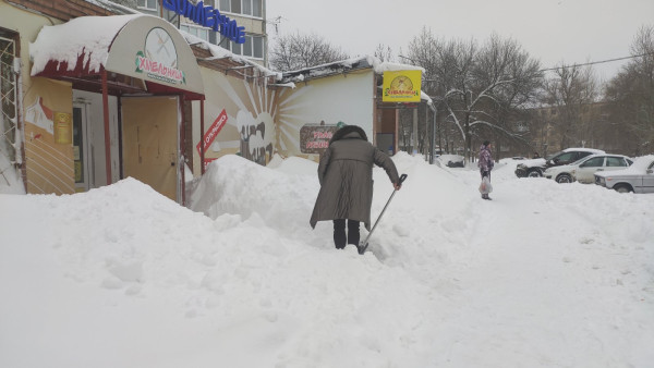 В Самаре и Тольятти из-за снегопада 16 января объявлен воскресник