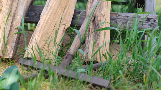 Житель Самарской области захватил у государства 6 соток земли