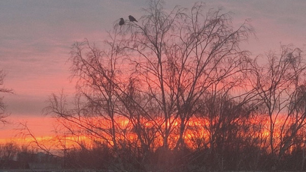 5 балльная магнитная буря обрушится на Самару 13 марта