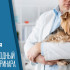 25 апреля — Международный день ветеринара: чем заняться в этот праздник