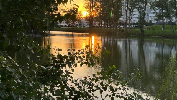 В Самаре привели в порядок озеро Дубовый Ерик