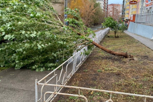 Число жертв урагана 27 апреля в Самарской области увеличилось до трёх человек