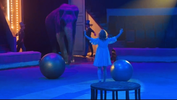 Дрессировщик Дементьев-Корнилов научил слонов жонглировать чашками в Самаре