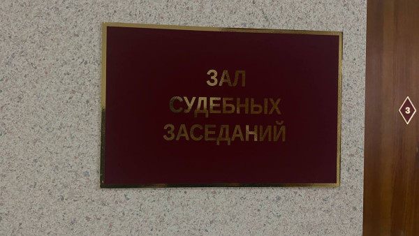 Под Самарой пьяная автоледи покусала инспектора ДПС