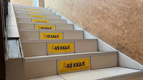 Разминка для офиса: самарцам показали два простых комплекса, которые спасут спину и шею