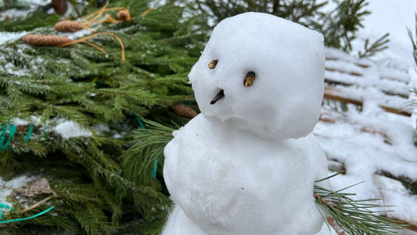 Народные приметы на 24 декабря. Не делайте этого в Никонов день, если не хотите лишиться денег и удачи