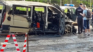 В Самарской области массово горят автомбили