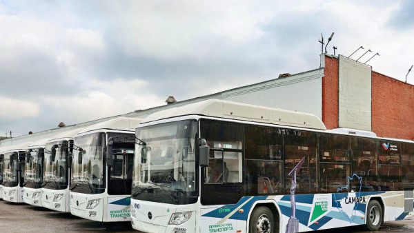 Первый пассажирский автобус до аэропорта Курумоч стартует из Тольятти 1 ноября