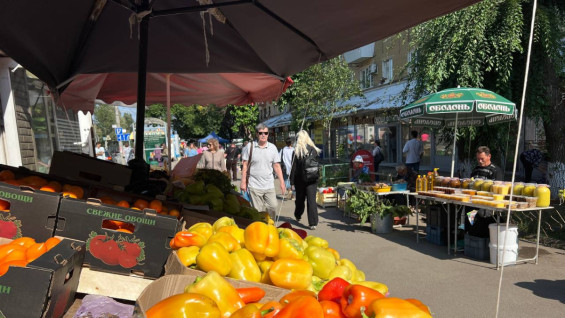 Названа причина переезда ярмарки от музея Алабина на Киевскую