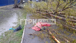 Появились кадры с места гибели девочки под деревом в Самаре 27 апреля