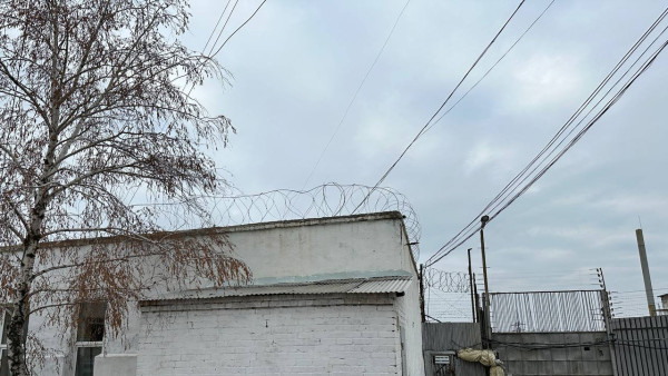 В Самаре художницу за госизмену приговорили к 20 годам колонии