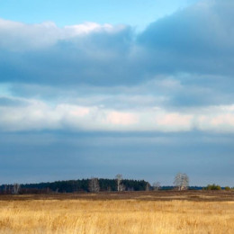 У самарского экс-чиновника Е. Макридина изымут два земельных участка