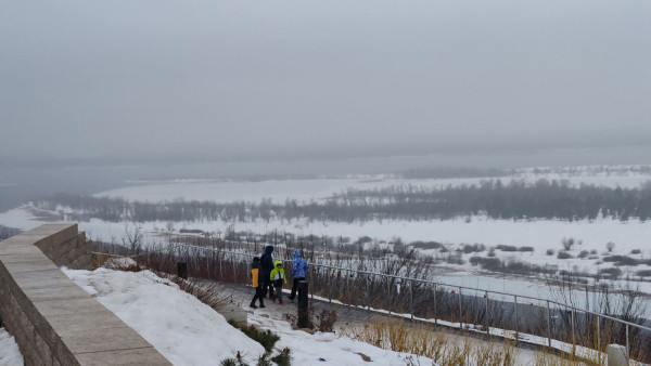 Самарской области угрожает арктическое вторжение