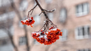 Синоптики предсказали дату потепления в Самарской области 