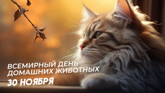 Всемирный день домашних животных 30 ноября: открытки и история праздника