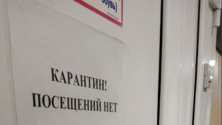 В Тольятти объявлен карантин