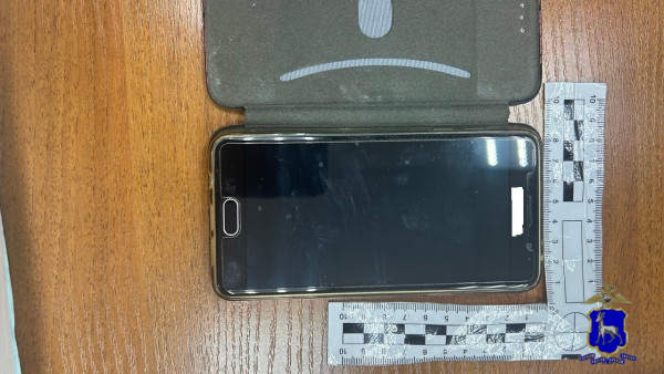 Под Самарой кражу телефона раскрыли по SIM-карте 17-летней студентки