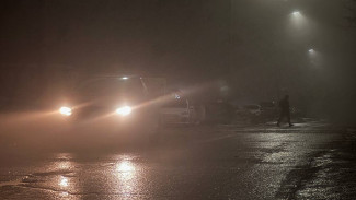 Гроза и шквалистый ветер обрушатся на Самарскую область