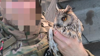 Сова помогла самарским военным провести операцию в зоне СВО