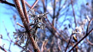 Март теплым не будет: синоптики рассказали об аномально холодных днях