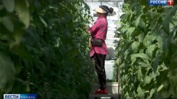 В Самарской области подвели итоги национального проекта «Эффективная и конкурентная экономика» за 2025 год