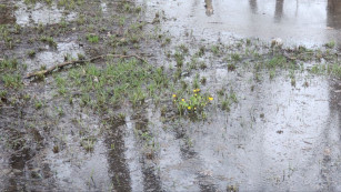 Появились кадры ушедшей под воду улицы Полевой в Самаре