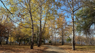 В Самарской области антициклон принесет потепление до +13°C