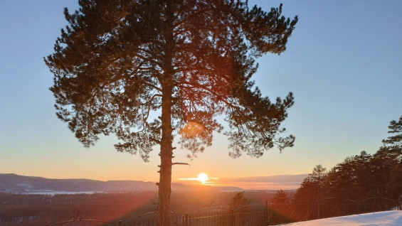 Автозимник «Шелехметь — Белые домики» в Самарской области закрыли из-за потепления