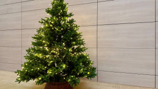 Мошенники продают самарцам «премиум-елки» перед Новым годом