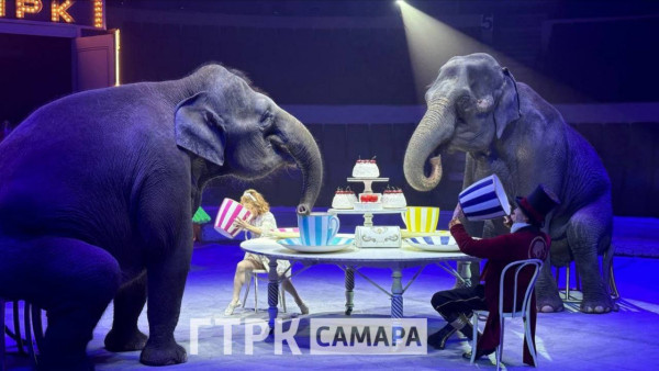 Слон из цирка сбежал и гулял по Самаре в 20-градусный мороз