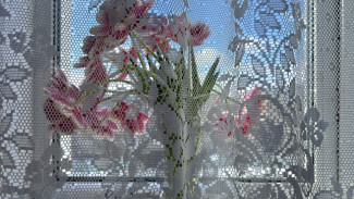 Народные приметы: 21 марта. Не делайте этого в Весенний солнцеворот, если не хотите лишиться главного