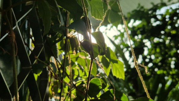 Стало известно, какие финансовые изменения затронут самарцев с 1 марта 2026 года  