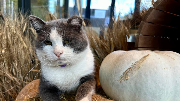 Гороскоп на 28 сентября: сложный день -  2 знакам нельзя принимать важные решения