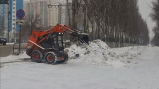 За трое суток с городских улиц вывезли почти 10 тысяч тонн снега