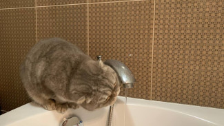 В Самаре около 3 тысяч домов остались без холодной воды из-за аварии