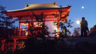 Самарцы смогут отправиться в новогоднее путешествие в новые страны без виз