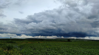 Жителям Самарской области угрожает желтая опасность 28 июня